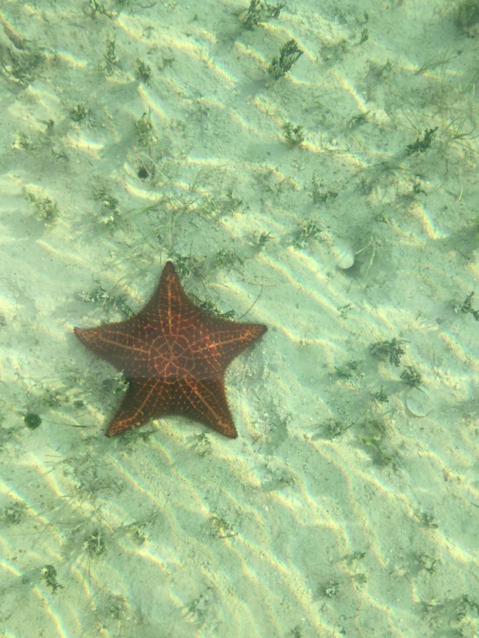 Ocean Tally Upper Bogue Kültér fotó